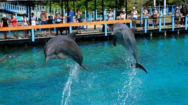 5 Islas Sin Plancton - Imagen 3